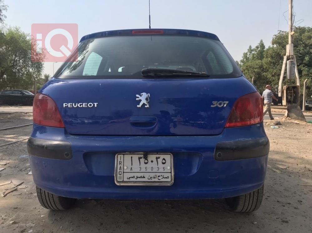 Peugeot 307